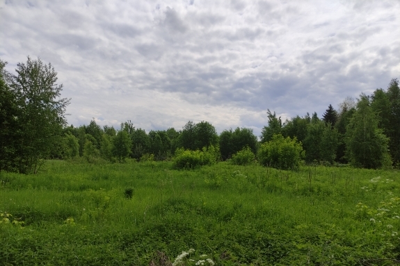 Купить  участок